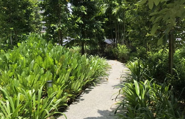 AGILE Infinity Suites TRX By AR - Foto 49