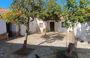 El Cortijillo de la Marquesa - Foto 17