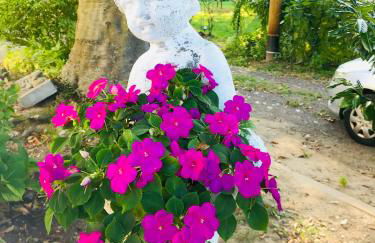 Villa Evin - Foto 24