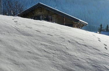 Magnifique appartement à la montagne classé 4 étoiles - Foto 21