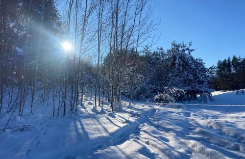 Feel-Harmonia w Nowym Kawkowie - Foto 22