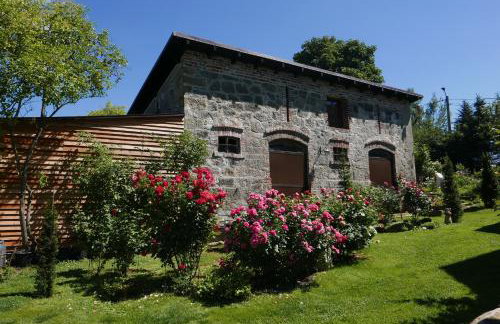 Róże i Jabłonie Agroturystyka - Foto 14