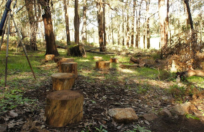 Balingup Heights Hilltop Forest Cottages - Foto 43