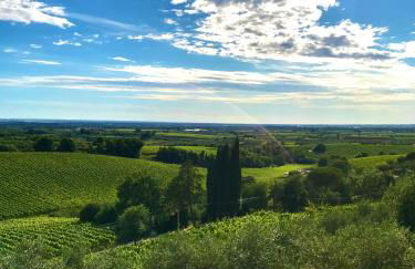 La terrazza - Foto 45