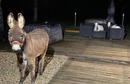 Les Gites de Claire - Foto 41