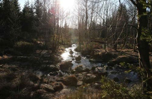 Altes Zollhaus - Foto 56