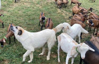 Le pied des pistes, studio 5 pers, balcon sud est, vue sur les montagnes - Foto 54