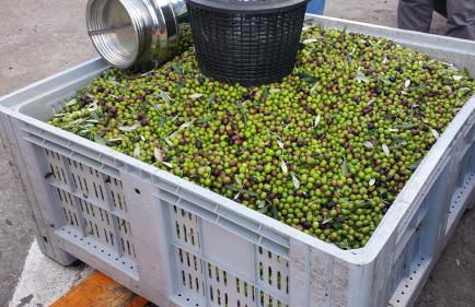 Sostio a Levante Guest House - Foto 83