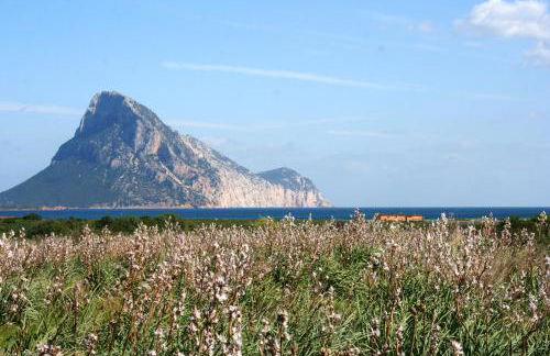 Charming house with terrace & garden - Loiri Porto San Paolo - Foto 13