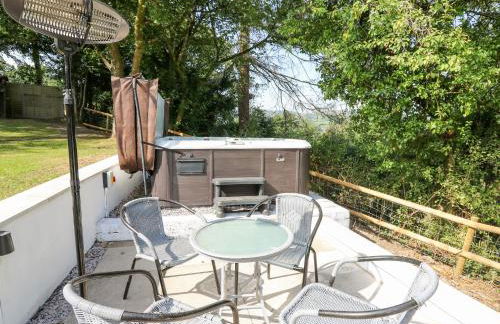 The Coach House at Plas Dolguog - Foto 34