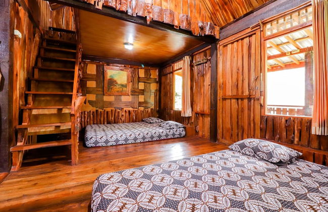 Rimbono Homestay - Foto 14