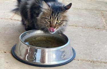 B&B Borgo Monacizzo - Foto 65