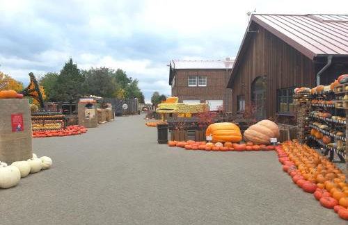 Wald und Wohlsein - Foto 53