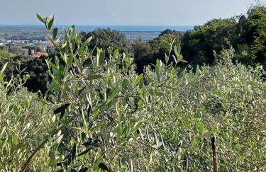 Verde Mare apartment Rosignano Marittimo - Foto 13