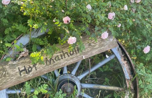 Hof Maiholm - Sattelkammer - Foto 20