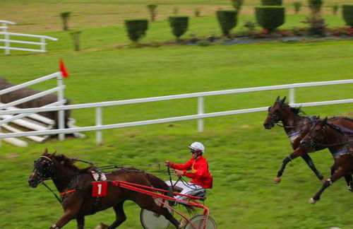 Number 22 - Le Dorat - Apartment 3 with garden & free parking - Foto 32