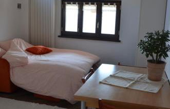 Alloggio Starteri - Foto 8