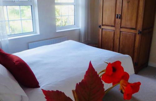 Springfields - Foto 23