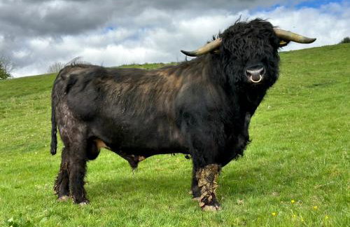 Parlour Barn - Photo 64