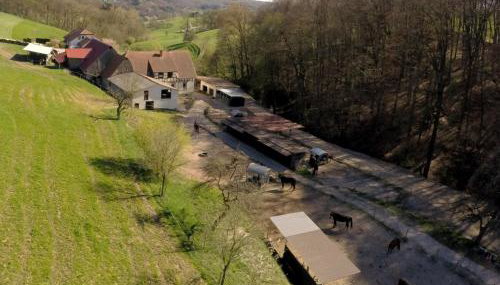 Pferdehof Dörsam - Foto 4