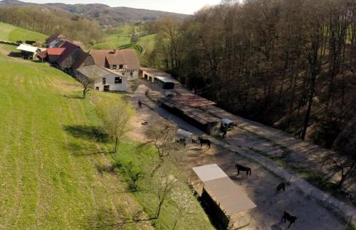 Pferdehof Dörsam - Photo 4