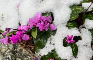 Grahl´s Ferienwohnung - Foto 56