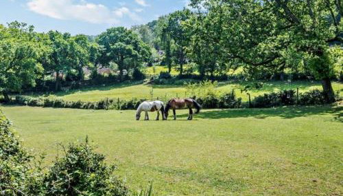 Ashdale Cottage - Foto 2