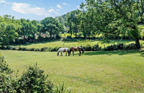 Ashdale Cottage - Foto 2