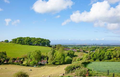 Primrose-Uk34614 - Foto 35