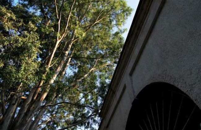 Masseria Frassaniti - Foto 38