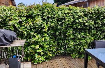 Villa de Gascogne - Foto 17