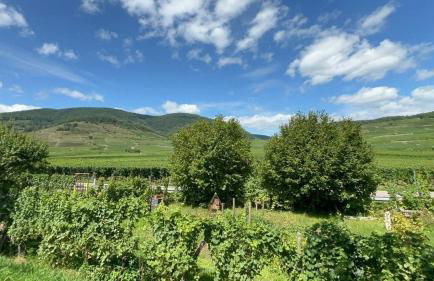 Bright F4 apartment close to everything - Foto 6