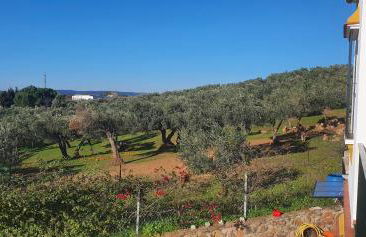 Huerta Carrión, Finca en El Pedroso - Foto 27