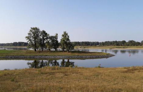 Landhotel Storchenkrug - Foto 9