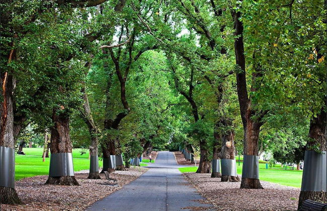 Knightsbridge Apartments - Foto 36