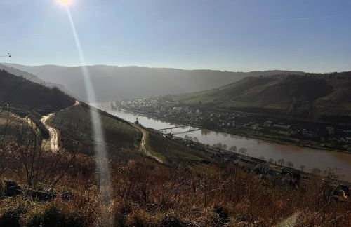 Moselblick im Denkmal - Foto 17