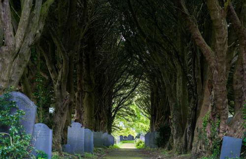 Tan y Bryn Bach - Foto 40