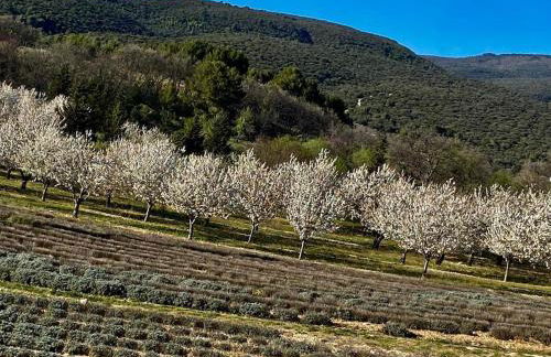 Maison de village, piscine, Colorado - Foto 9