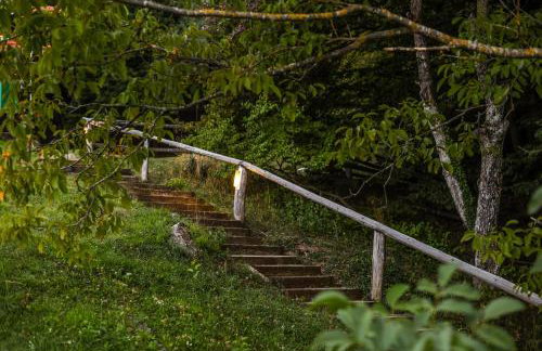 Wild Rose Samobor - Foto 74