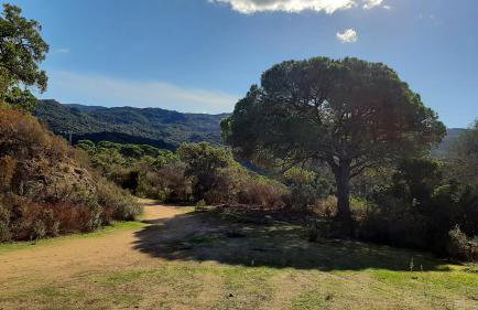 Camélia Plein Soleil Bord de Plage - Photo 24