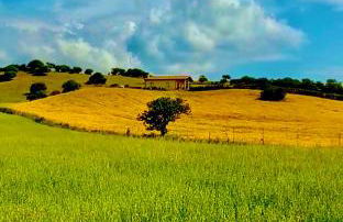 San Leonardo Country House - Foto 12