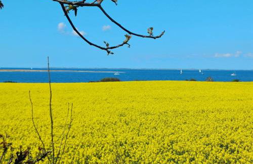 Landhaus Timm - Ferienhaus an der Ostsee - Foto 32