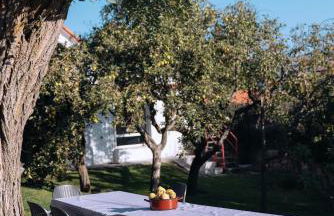 La Finca de Aurora - Foto 41