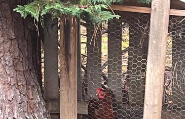 Luxurious Lower Level - Foto 31