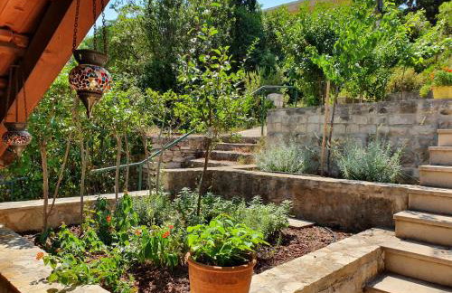 Holiday Home Dora - Photo 58