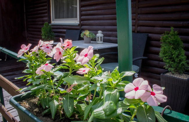 Lucky River Belgrade - Photo 45