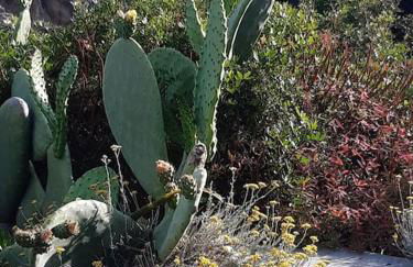 Panoramic villa on top of Capo Falcone - Foto 31