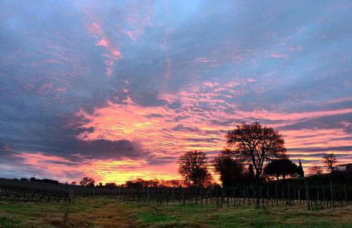 Agriturismo Diaccialone - Foto 45