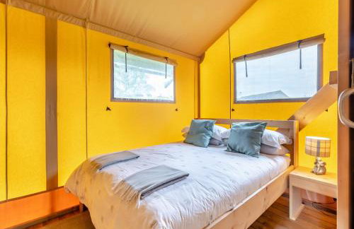 Fallow - Uk47397 - Foto 8