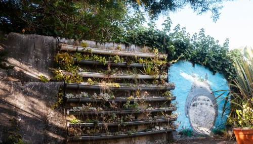 Quinta das Almas - Photo 3, Garden